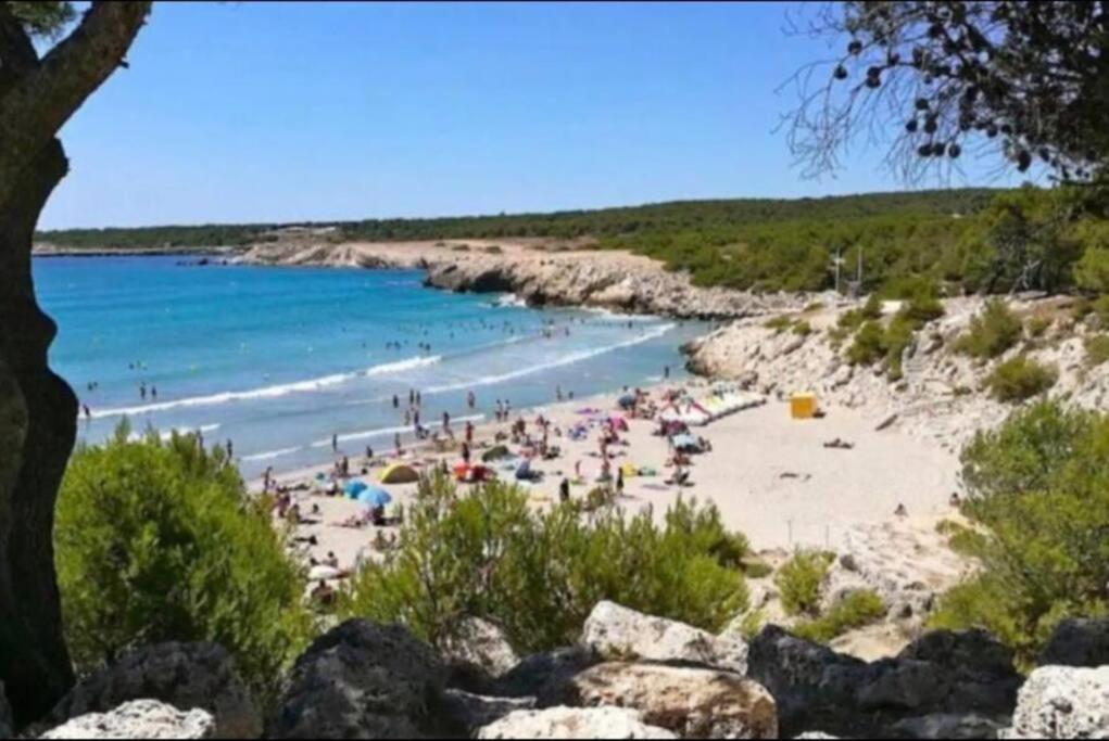 Studio Mer Et Vacances Sausset-les-Pins Luaran gambar